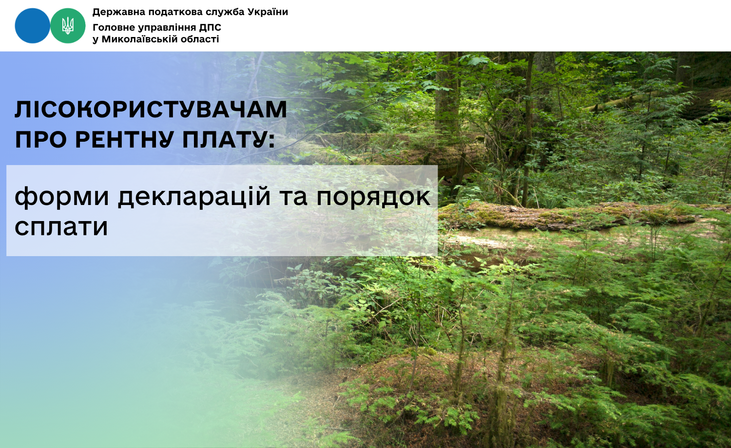 Лісокористувачам про рентну плату: форми декларацій та порядок сплати