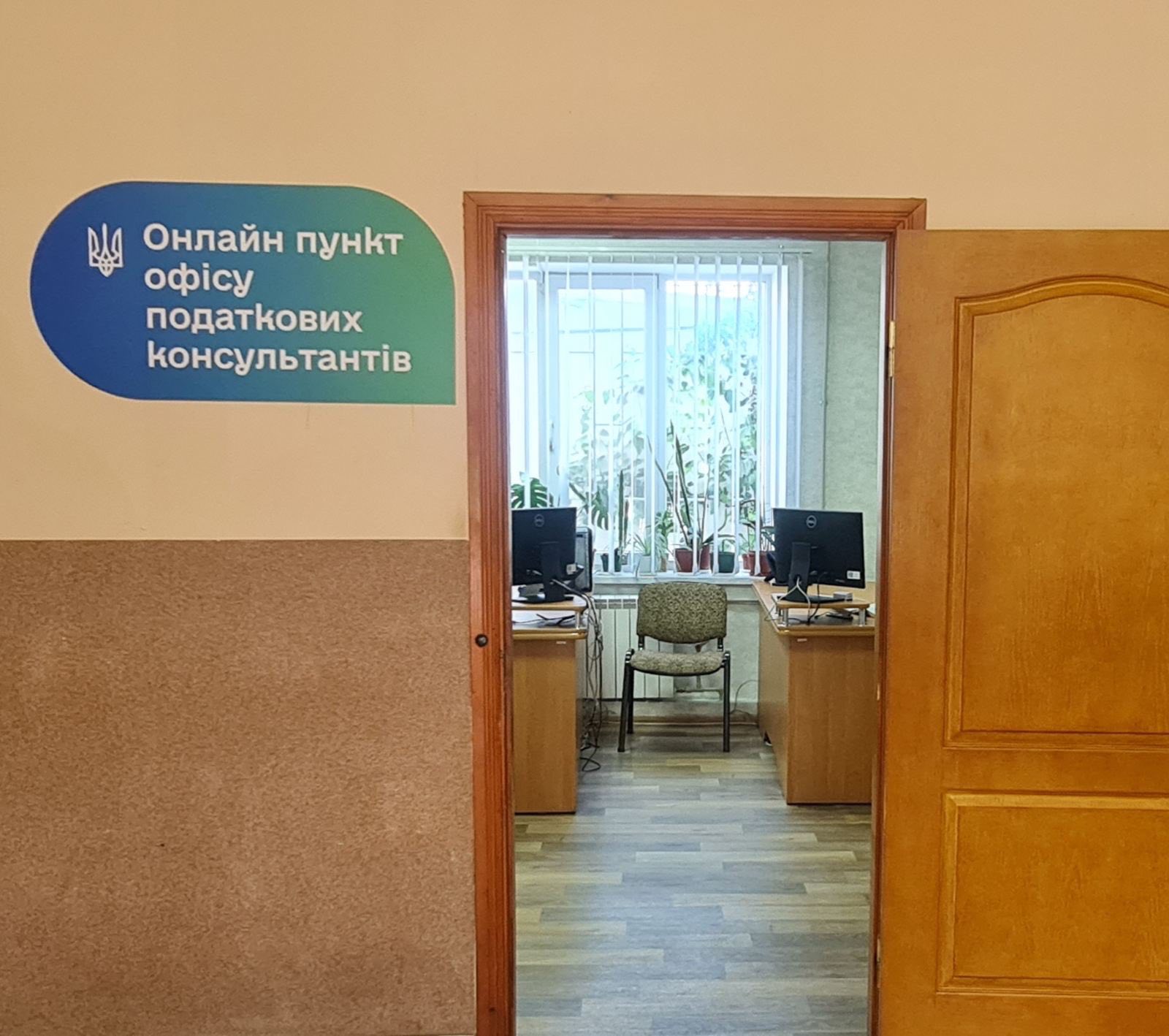 Податкові консультації без відстаней: у Баштанській ДПІ запрацював онлайн-пункт Офісу податкових консультантів . Фото № 10/9